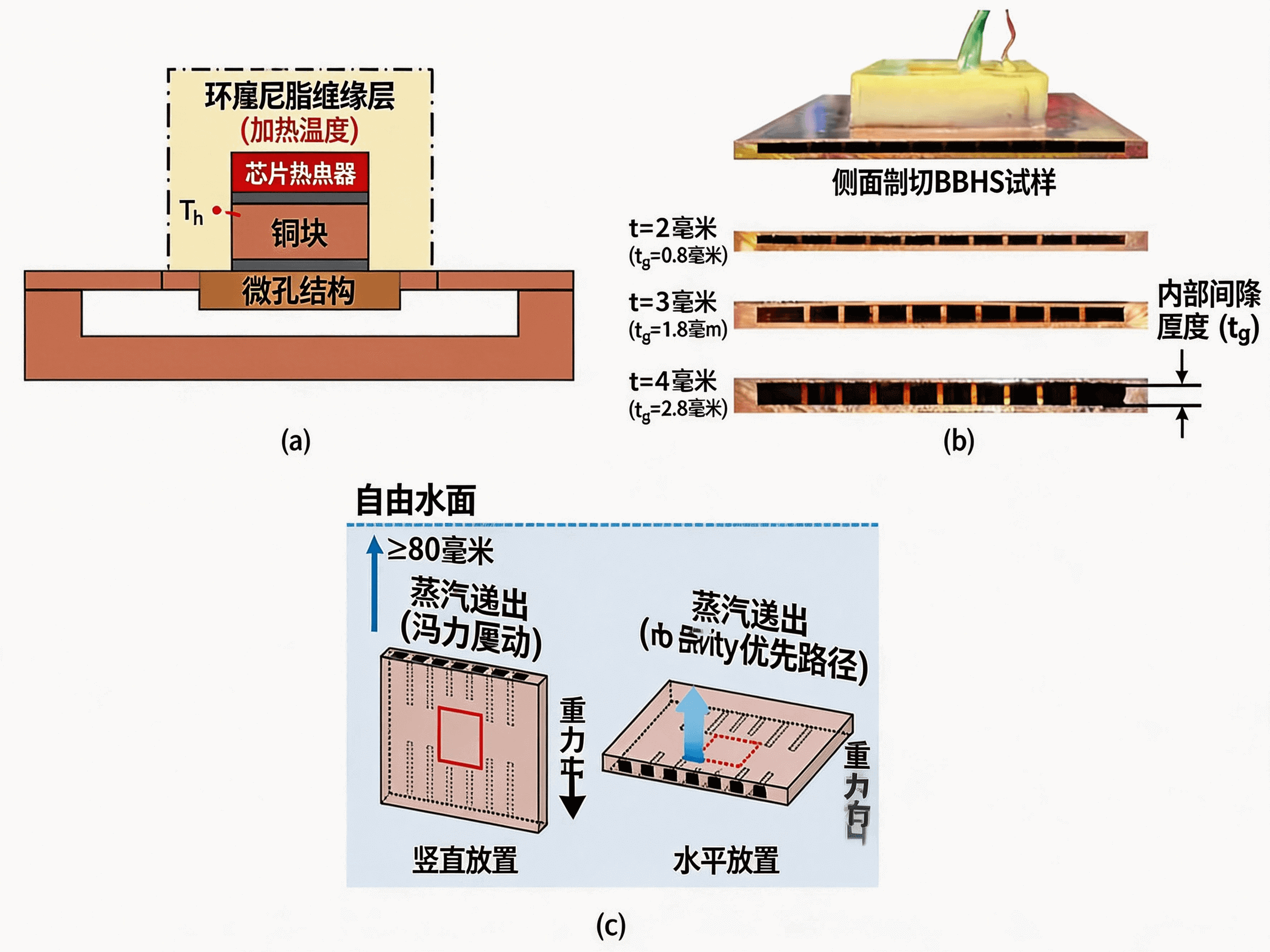 图 4 用于窄间隙池沸腾实验的侧切 BDHS 试样：（a）侧切试样示意图，（b）显示内部间隙厚度的截面图像，以及（c）池沸腾实验条件.png